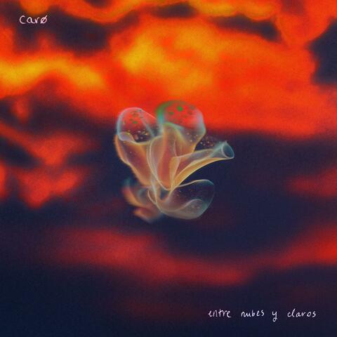 entre nubes y claros