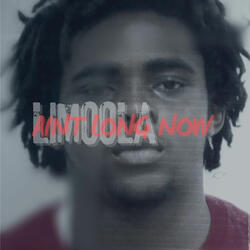 LiMoola (Fck Wit Sum)