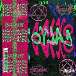 WAY I FEEL (feat. VUISY)