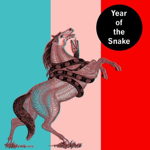 Year of the Snake