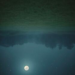 we dont need the moon