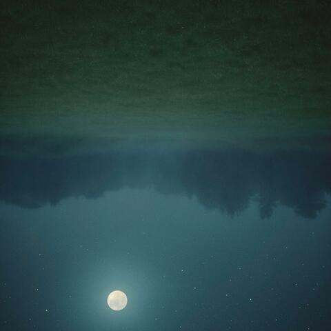 we dont need the moon