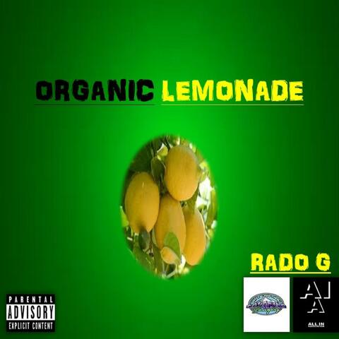 Organic Lemonade (RAW)