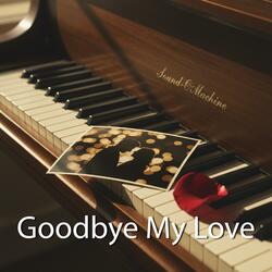 Goodbye My Love