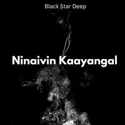 Ninaivin Kaayangal