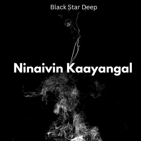 Ninaivin Kaayangal