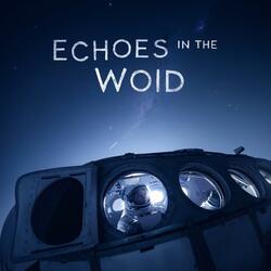 Echoes In The Void