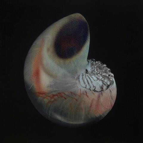 If I don't get to see the beauty of the end of culture then at least I've seen the culture of the end of reality