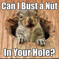 Busting a "NUT "