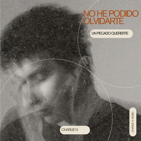 No He Podido Olvidarte