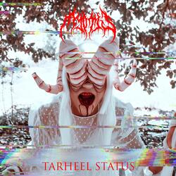 Tarheel Status