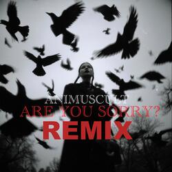 ARE YOU SORRY REMIX