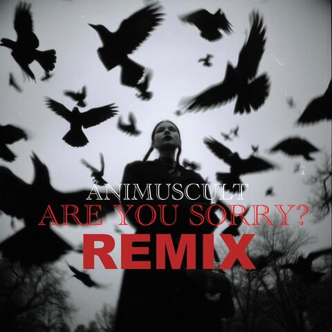 ARE YOU SORRY REMIX