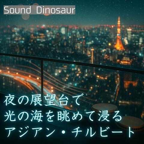 夜の展望台で光の海を眺めて浸るアジアン・チルビート