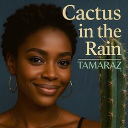 Cactus in the rain (Tamaraz)
