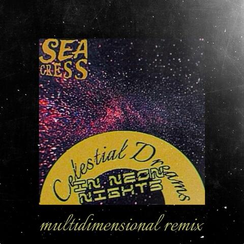 MuLTiDiMeNSioNaL (the remixed version)
