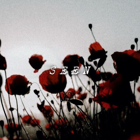 Seen (feat. OLIVOSANJO)