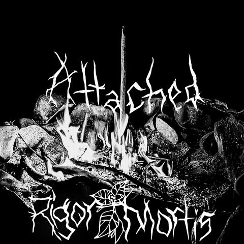 Attached (feat. Robert Forbes)