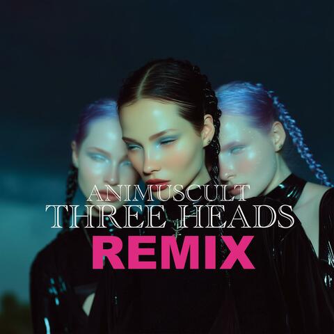 THREE HEADS REMIX