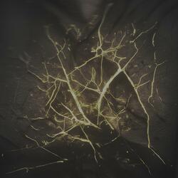 ANTRASİT (feat. ati)