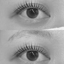 After the last goodbye