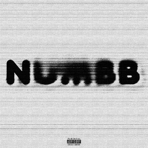 NUMBB