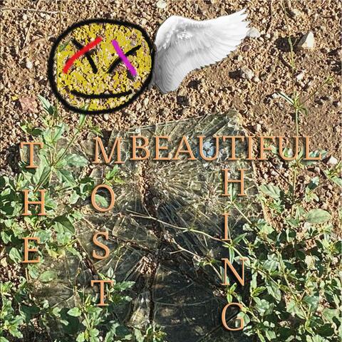 The MOST beautiful thing