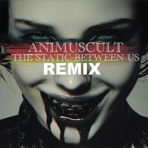 THE STATIC BETWEEN US REMIX