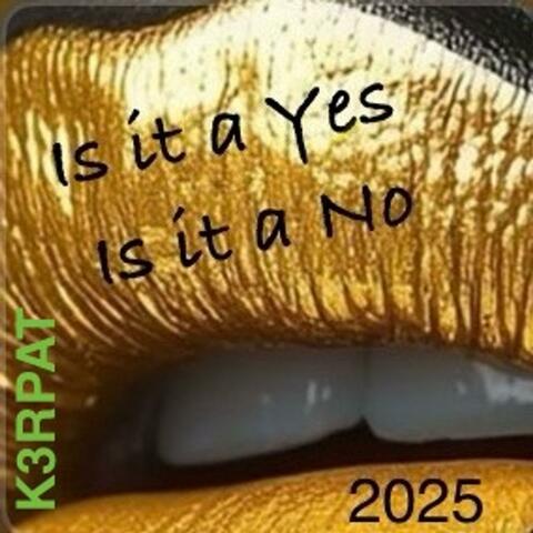 Is it a Yes Is it a No (2025)