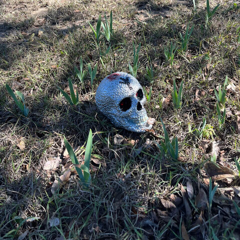 Dragonsblood and Teardrops