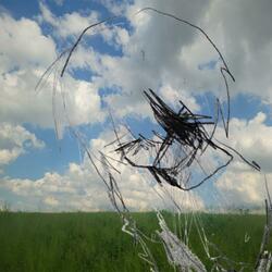 Emotionless (feat. shrhu)