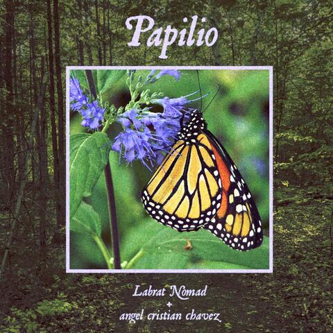 Papilio (feat. angel cristian chavez)