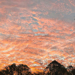 this is what tequila feels like. (Radio Edit)