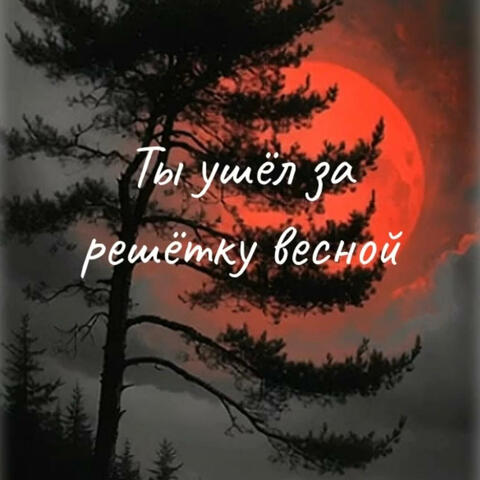 Ты ушёл за решётку весной