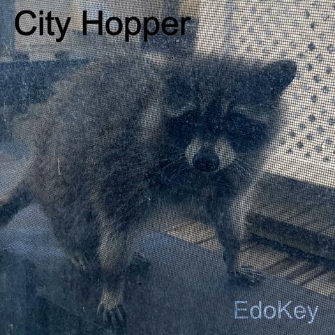 City Hopper