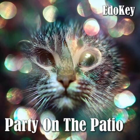 Party On The Patio