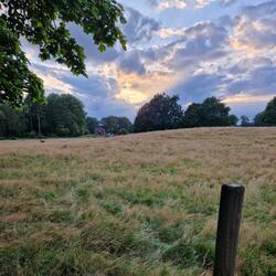 Fuck You Russian Warship, part 2