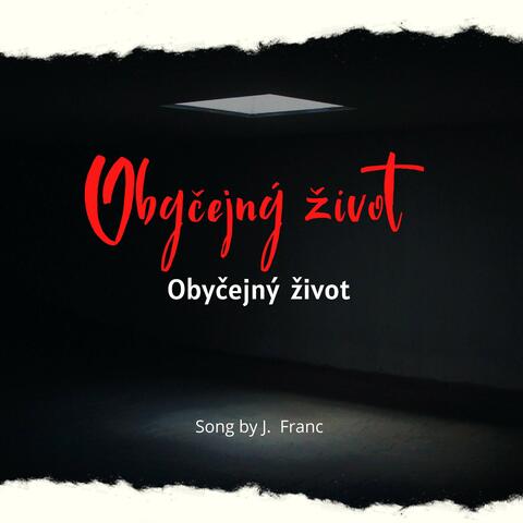 Obyčejný  život