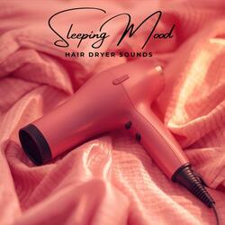Sleeping mood sound of hair dryer
