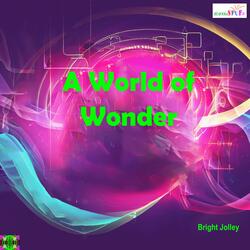 A World of Wonder