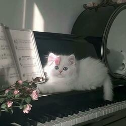 The Candle’s Last Whisper