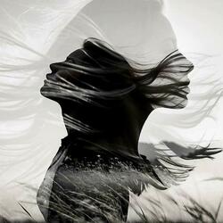 Words You Never Said