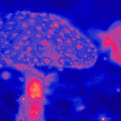 Happy Accidents 3.2. Synchronicity