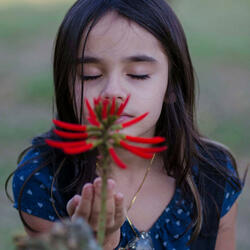 Sixteen (I'm Fine) Orchestra