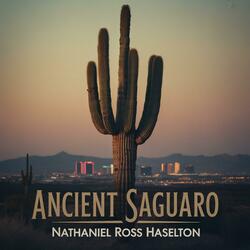 Ancient Saguaro