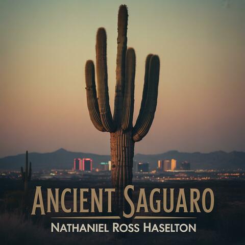 Ancient Saguaro
