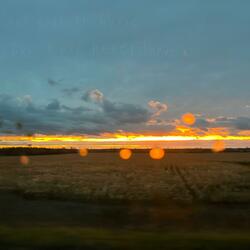 my son is also named bort