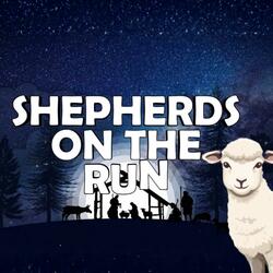 Shepherds on the Run