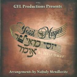 V'zakeinu (feat. Yossi Mayer)