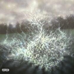 Addicted to Understanding